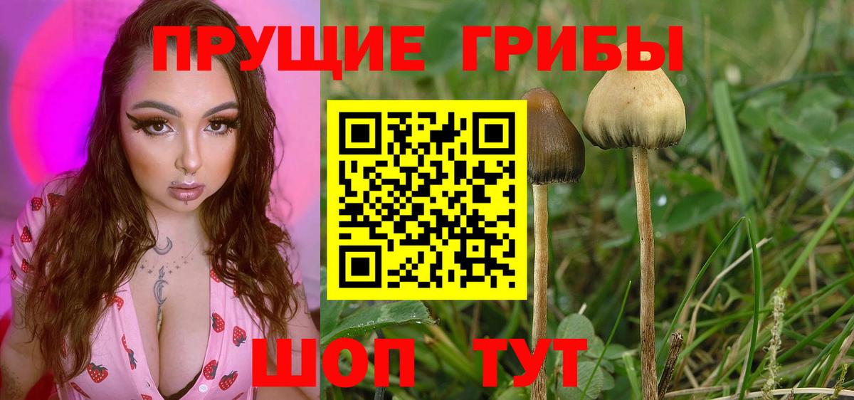 Псилоцибиновые грибы ЛСД Ирбит