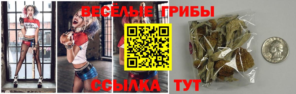 Ирбит  Галлюциногенные грибы MAGIC MUSHROOMS  Вход с VPN  что такое наркотик  Галлюциногенные грибы GOLDEN TEACHER 